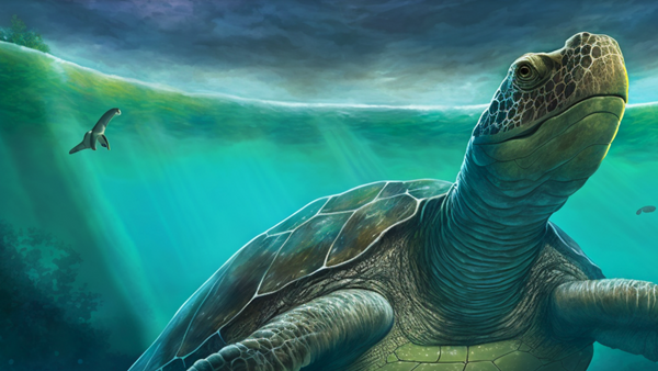 Cretaceous Period Sea Turtle created by Midjourney AI - Sputnik International