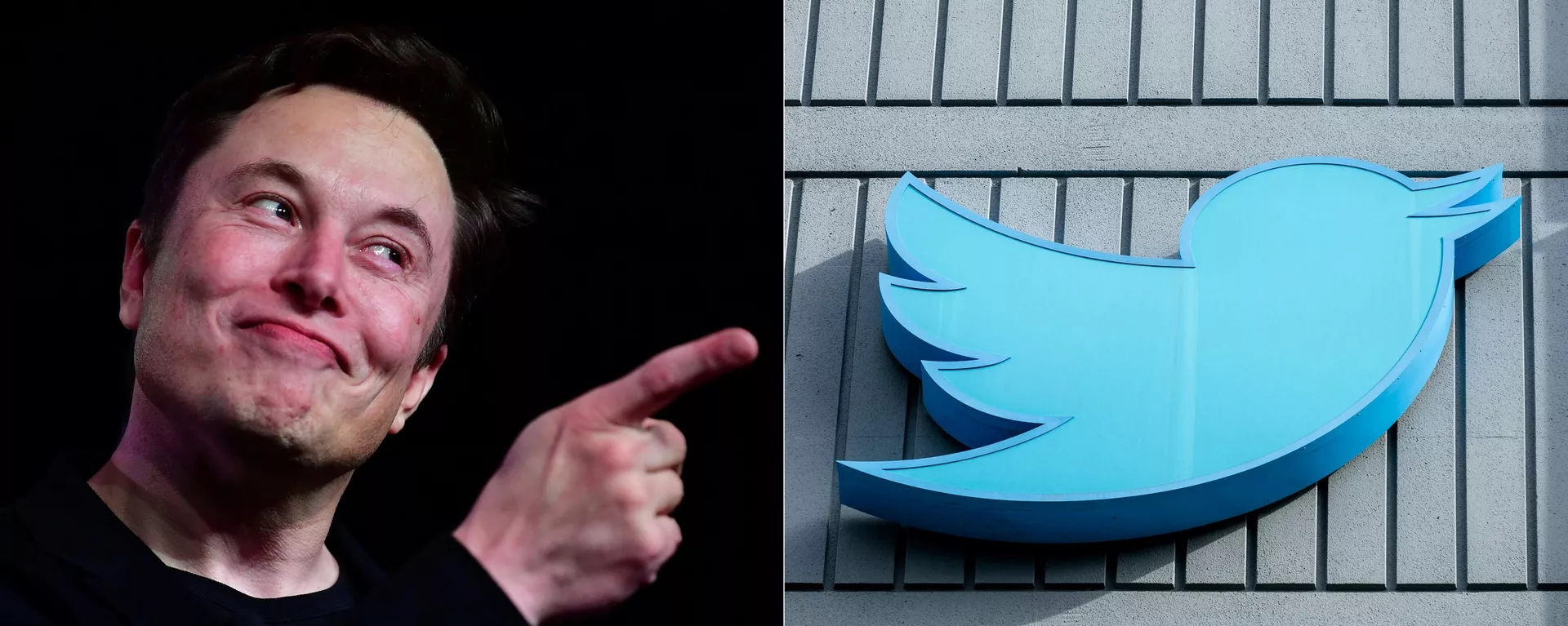 Tesla CEO Elon Musk on March 14, 2019, Hawthorne, California and the Twitter logo outside their headquarters in San Francisco, California, on October 28, 2022.  - Sputnik International, 1920, 16.12.2022