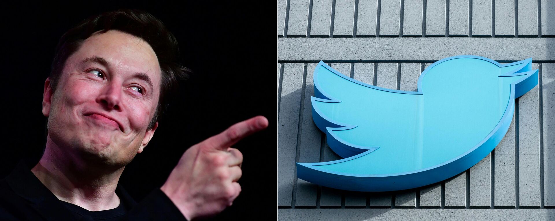 Tesla CEO Elon Musk on March 14, 2019, Hawthorne, California and the Twitter logo outside their headquarters in San Francisco, California, on October 28, 2022.  - Sputnik International, 1920, 24.11.2022