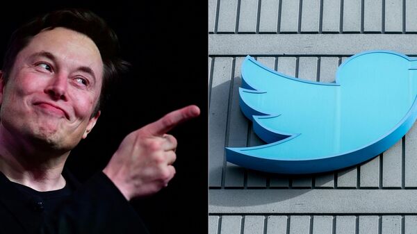 Tesla CEO Elon Musk on March 14, 2019, Hawthorne, California and the Twitter logo outside their headquarters in San Francisco, California, on October 28, 2022.  - Sputnik International