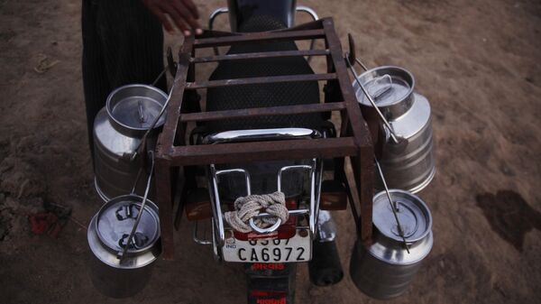 In this Thursday, Oct. 8, 2015 photo, an Indian man carries cans of milk on a motorcycle to deliver to a nearby co-operative dairy at Dantali village of Kheda district, about 48 kilometers southeast of Ahmadabad, India. - Sputnik International