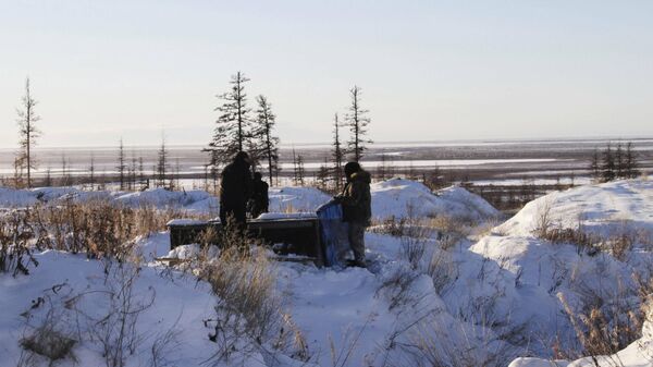 Russian scientists Sergey Zimov and his son Nikita Zimov extract air samples from frozen soil near the town of Chersky in Siberia 6,600 kms (4,000 miles) east of Moscow, Russia.  - Sputnik International