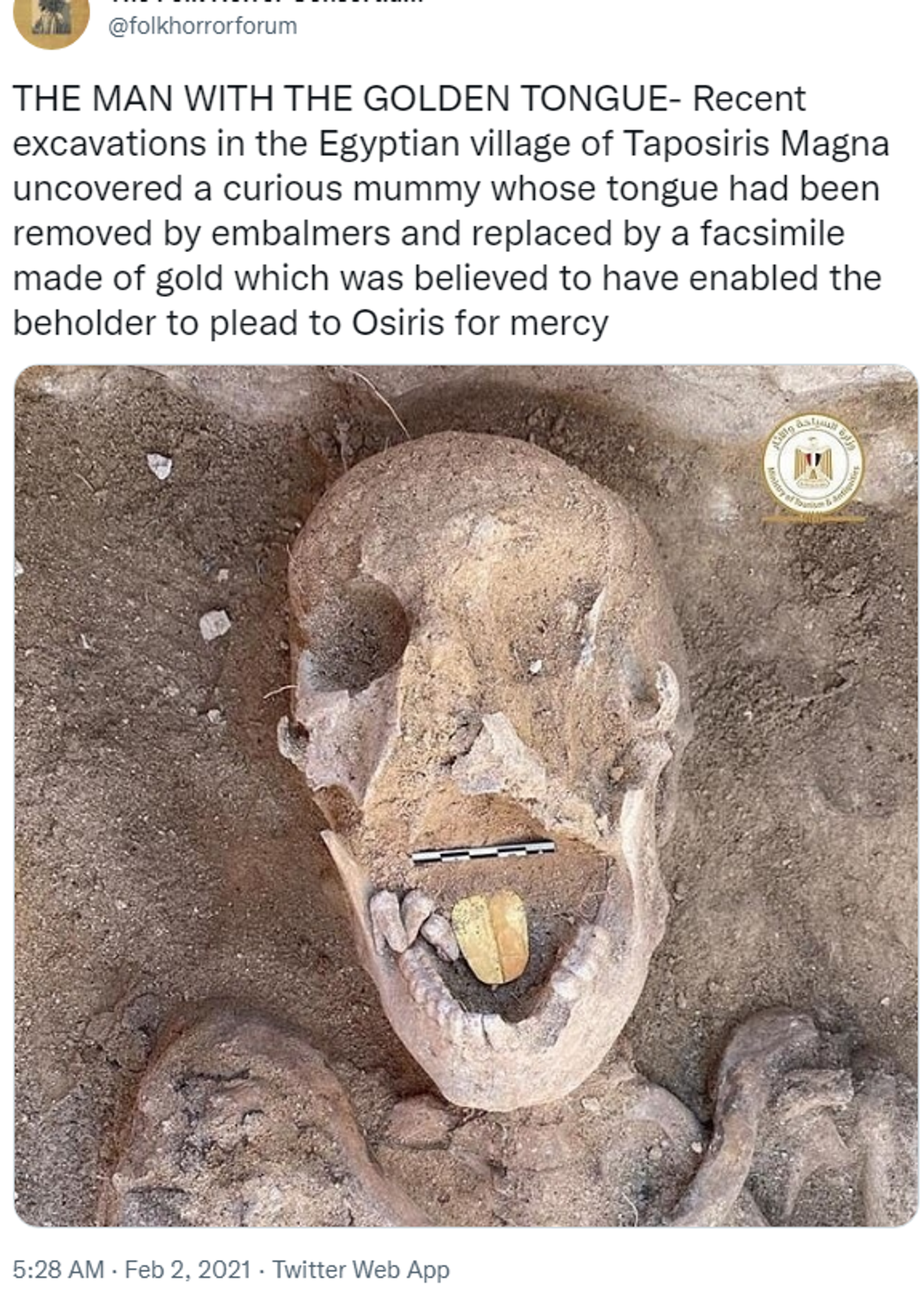Twitter screenshot featuring image of mummy with golden tongue found at Taposiris Magna released by Egypt's Ministry of Tourism and Antiquities in 2021. - Sputnik International, 1920, 26.11.2022