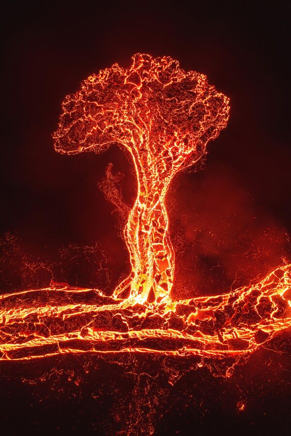 Tree Of Lava by Costa Rican photographer Luis Solano is in the top 101 of The 9th International Landscape Photographer of the Year. Fagradalsfjall, Reykjanes Peninsula, Iceland. - Sputnik International