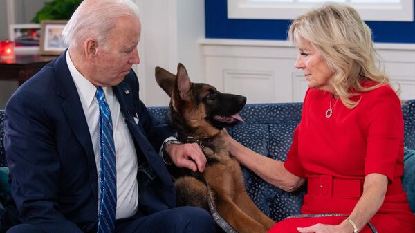 Президент США Джо Байден и первая леди США Джилл Байден смотрят на своего нового командира собак в Белом доме, США, 2021 - Sputnik International