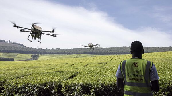 A Kenya Airways employee controls an unmanned aerial vehicle (UAV) as it spreads fertilizer over a tea farm at Kipkebe Tea Estate in Musereita on October 21, 2022. - Sputnik International