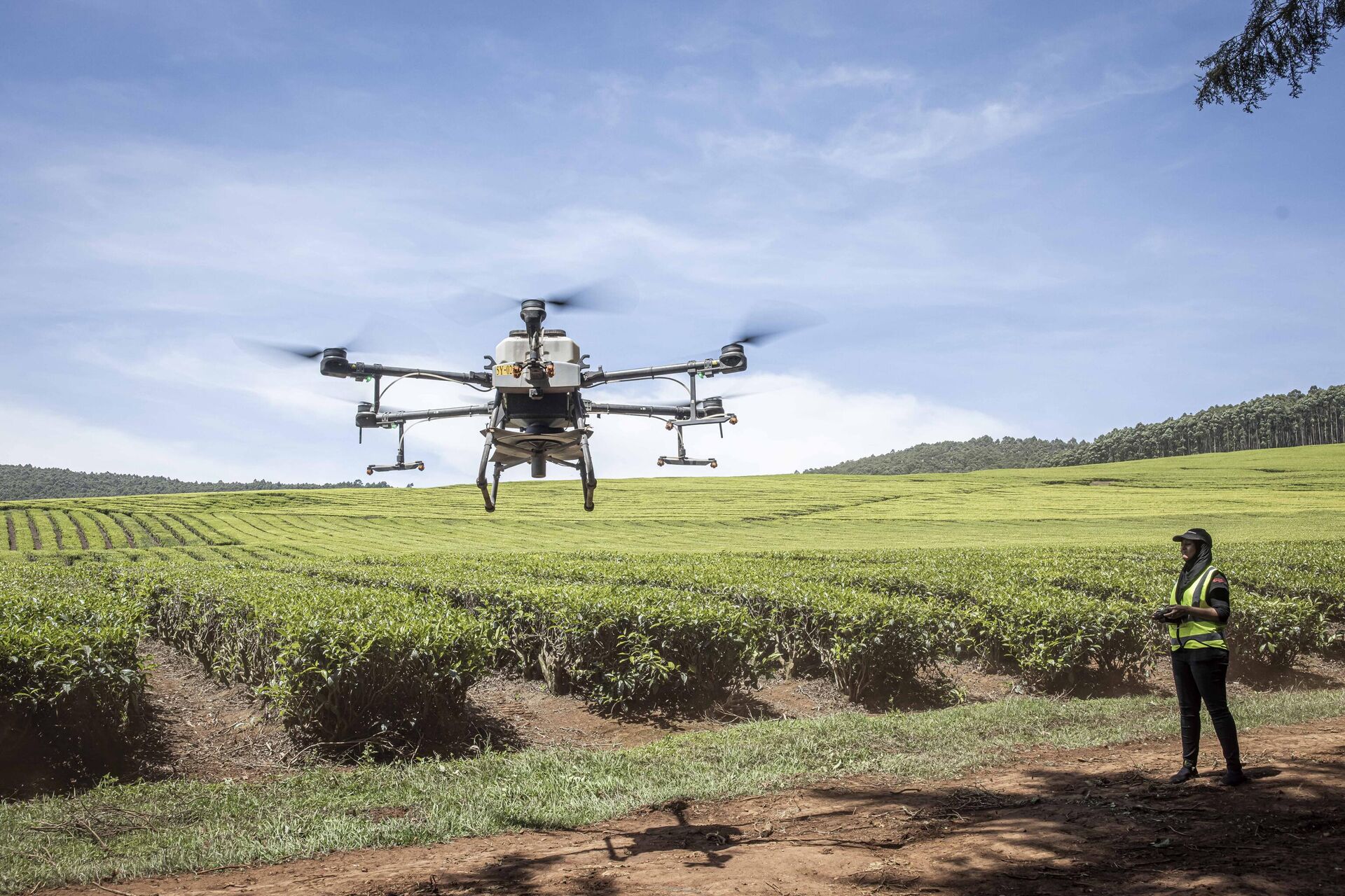 A Kenya Airways employee controls an unmanned aerial vehicle (UAV) as it spreads fertilizer over a tea farm at Kipkebe Tea Estate in Musereita on October 21, 2022. - Sputnik International, 1920, 16.12.2022