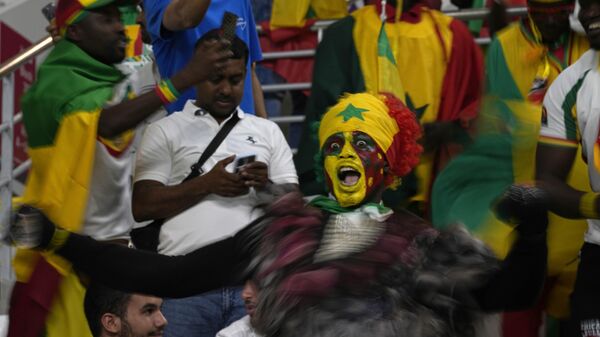 Fan cheer before the World Cup group A soccer match between Ecuador and Senegal, at the Khalifa International Stadium in Doha, Qatar, Tuesday, Nov. 29, 2022. - Sputnik International