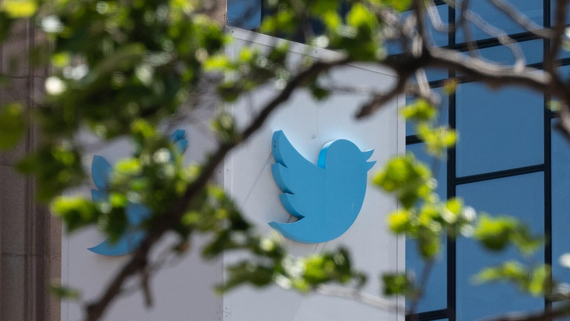 The Twitter logo is seen at their headquarters on April 26, 2022 in downtown San Francisco, California. - Sputnik International, 1920, 12.01.2023