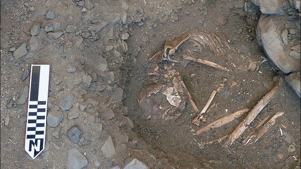 Burial 3 in a pit at the northern edge of the mortuary cavity. Burials 1–2 were recovered from pits in the background - Sputnik International