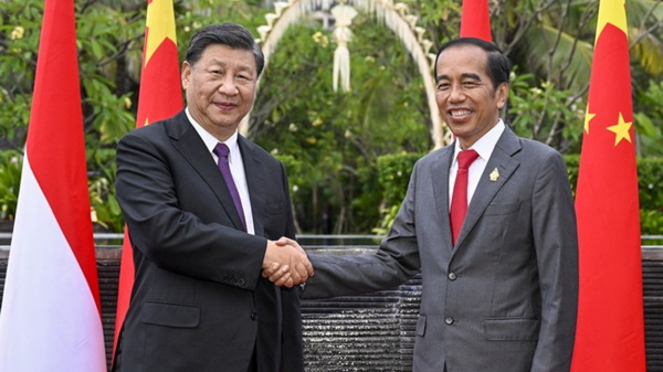 Chinese President Xi Jinping holds talks with Indonesian President Joko Widodo on November 17, 2022. - Sputnik International