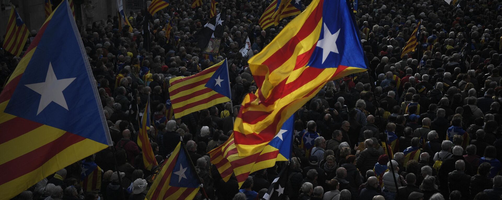 Protesters wave Catalan pro-independence Estelada flags during a rally against changes to sedition law - Sputnik International, 1920, 16.12.2022