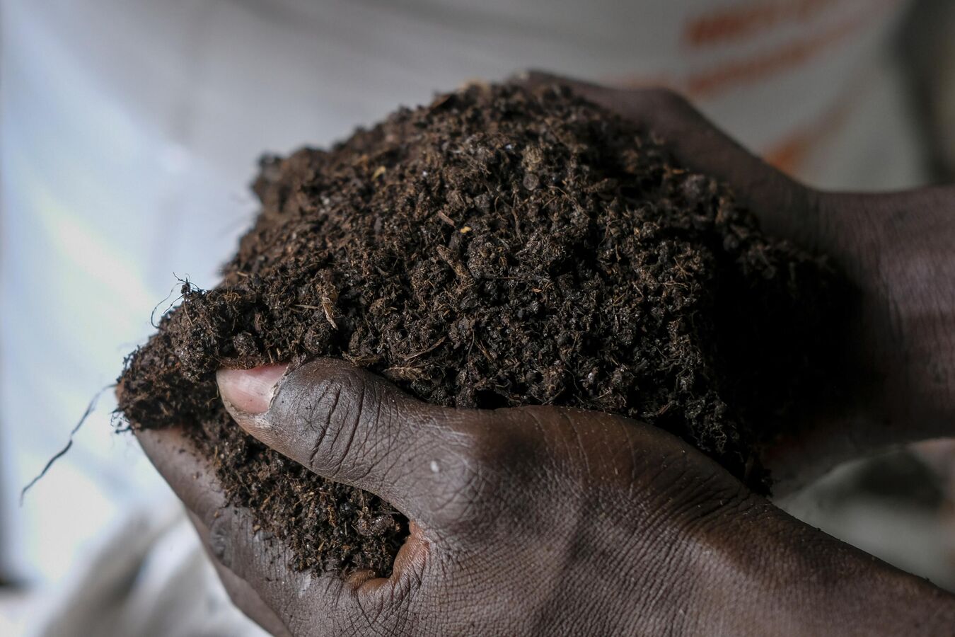 Russia, Bangladesh Sign Largest Fertilizer Supply Contract Ever