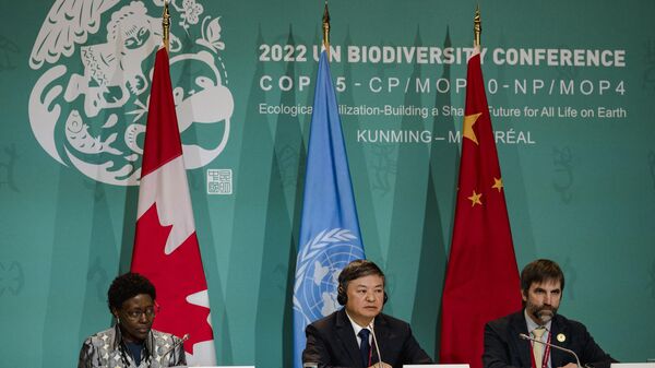 (L-R) Executive Secretary of the UN Convention on Biological Diversity, Elizabeth Maruma Mrema; Chinese Ecology and Environment Minister, Huang Runqiu; and Canadian Minister of the Environment and Climate Change, Steven Guilbeault, hold a joint press confrence at the UN Biodiversity Conference (COP15) in Montreal, Quebec, Canada on December 17, 2022. - Sputnik International
