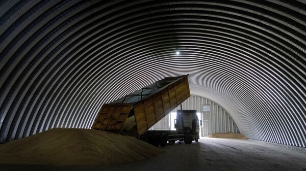 A dump track unloads grain in a granary in the village of Zghurivka, Ukraine, Aug. 9, 2022. - Sputnik International