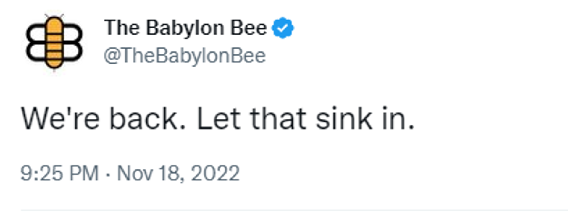 Twitter screenshot of The Babylon Bee account. - Sputnik International, 1920, 27.12.2022