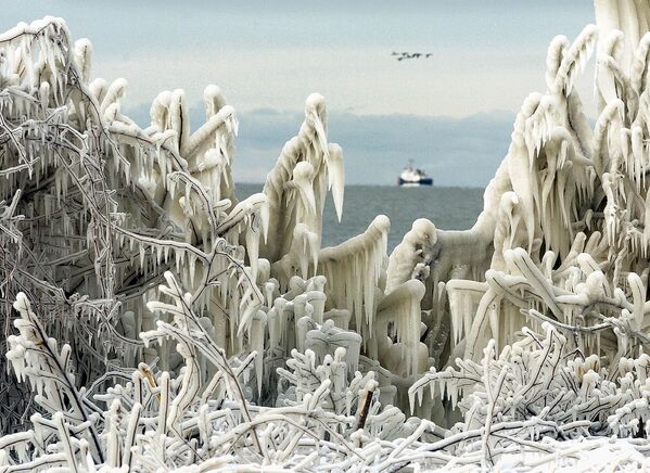 The US Coast Guard icebreaker Neah Bay is framed by ice-covered trees along the shore of Lake Erie as a flock of ducks fly overhead on Monday 20 December 2004. The day before the official start of winter brought brisk winds and sub-freezing temperatures after a snowstorm that dumped up to a foot of snow on parts of north-east Ohio. - Sputnik International