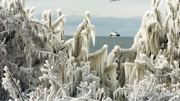 Покрытые ледяными волнами деревья на побережье озера Эри в США - Sputnik International