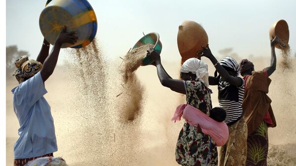 Malian women sift wheat in a field near Segou, central Mali, Jan. 22, 2013.  - Sputnik International