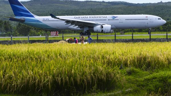 An airplane of Indonesia's national carrier Garuda lands on a runway beside a paddy field at Blang Bintang airport in Banda Aceh on April 2, 2019.  - Sputnik International