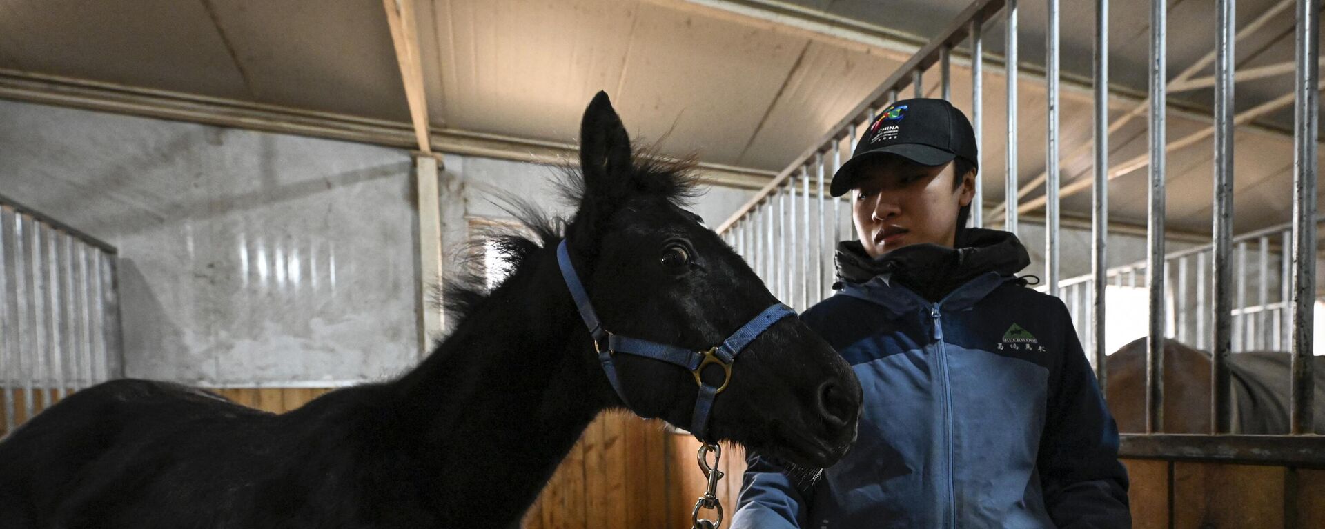 Zhuangzhuang, the country's first cloned horse bred by Chinese company Sinogene, is seen with animal trainer Yin Chuyun at a stable at Sheerwood horse riding club in Beijing on January 12, 2023.  - Sputnik International, 1920, 12.01.2023