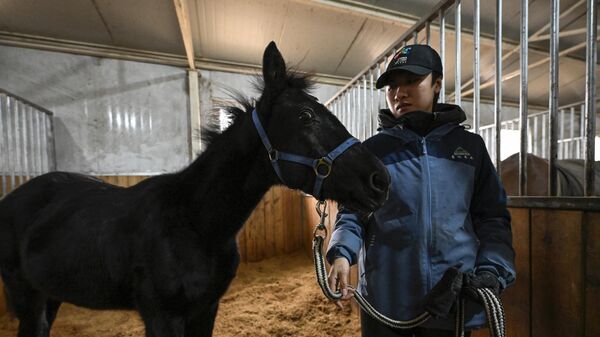 Zhuangzhuang, the country's first cloned horse bred by Chinese company Sinogene, is seen with animal trainer Yin Chuyun at a stable at Sheerwood horse riding club in Beijing on January 12, 2023.  - Sputnik International