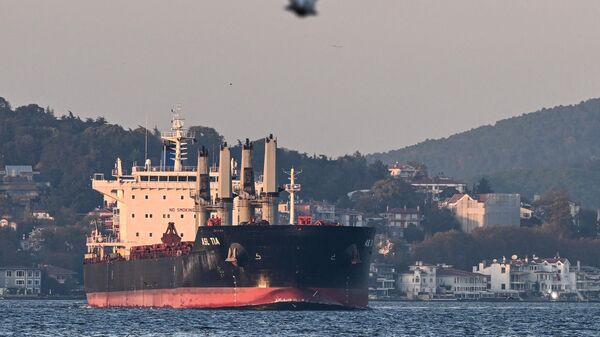 Asl Tia, a cargo vessel carrying Ukrainian grain, sails on Bosphorus to Marmara sea, in Istanbul, on November 2, 2022. - Sputnik International