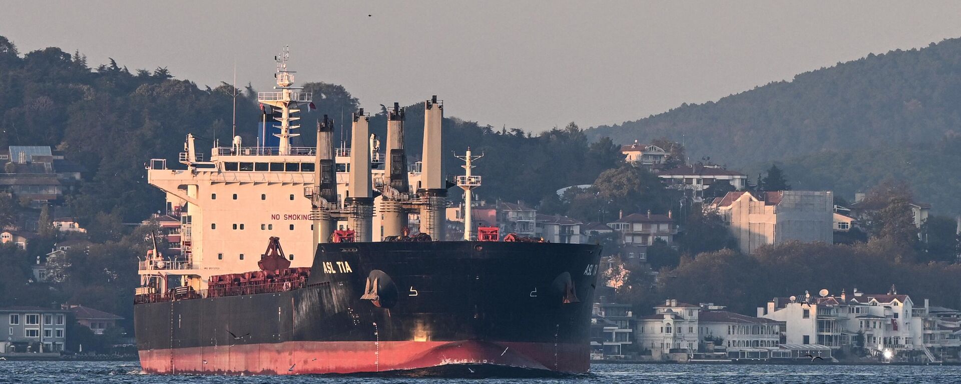 Asl Tia, a cargo vessel carrying Ukrainian grain, sails on Bosphorus to Marmara sea, in Istanbul, on November 2, 2022. - Sputnik International, 1920, 15.01.2023