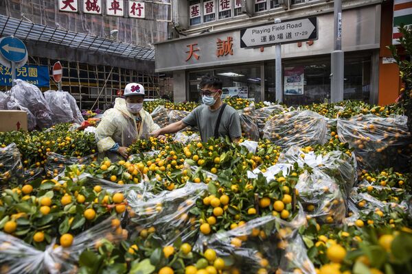 A man sells kumquat trees at a stall in Hong Kong. Kumquats are considered to be the Chinese version of the western Christmas tree.  - Sputnik International