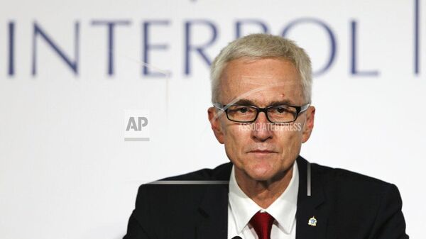 Jürgen Stock, Secretary General of Interpol  - Sputnik International