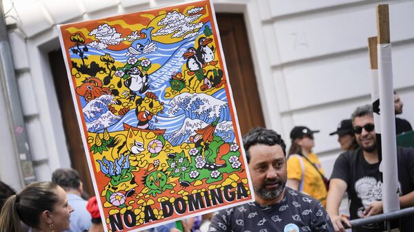 An environmental activist holds a sign that reads in Spanish No to Dominga outside the Environment Ministry to show support for their Committee of Ministers' decision to unanimously reject the Dominga mining project in Santiago, Chile, Wednesday, Jan. 18, 2023. The project by Andes Iron had been proposed in La Higuera, in the Coquimbo region. - Sputnik International