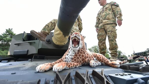 A stuffed toy leopard is placed on a Leopard 2/A4 battle tank during a handover ceremony of tanks at the army base of Tata, Hungary, on July 24, 2020. Hungary is one of over a dozen countries operating the German-made tank. - Sputnik International