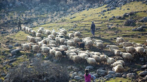 The villagers of Orenkuyu in the province of Diyarbakır, Turkey - Sputnik International