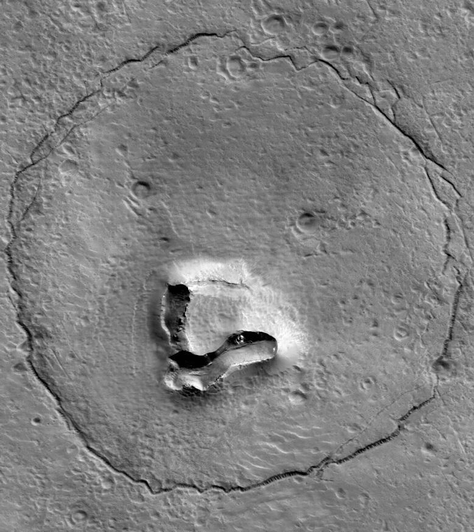 Fragment of an image taken by HiRISE depicting a terrain feature resembling a bear face on Mars - Sputnik International, 1920, 27.01.2023