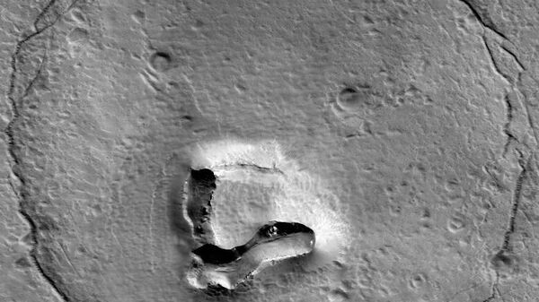 Fragment of an image taken by HiRISE depicting a terrain feature resembling a bear face on Mars - Sputnik International