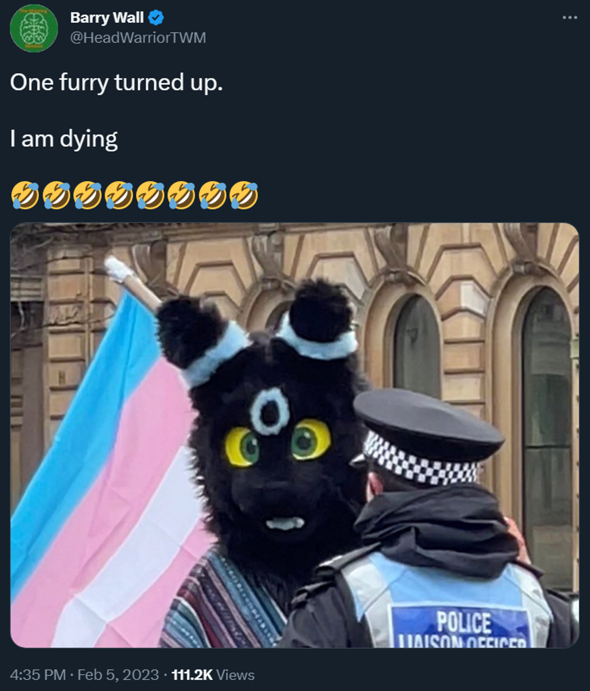 A 'furry' cosplayer attends a transgender activist counter-protest to a feminist rally in Glasgow, Scotland on February 4 2023 - Sputnik International, 1920, 06.02.2023