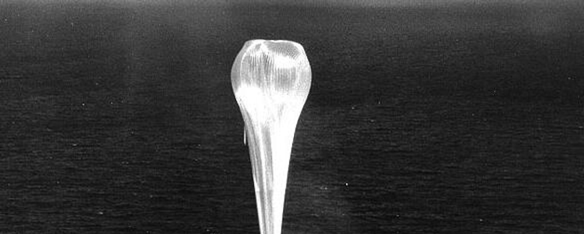 A spy balloon from Project Genetrix is launched from the aircraft carrier USS Valley Forge, 1956 - Sputnik International, 1920, 09.02.2023