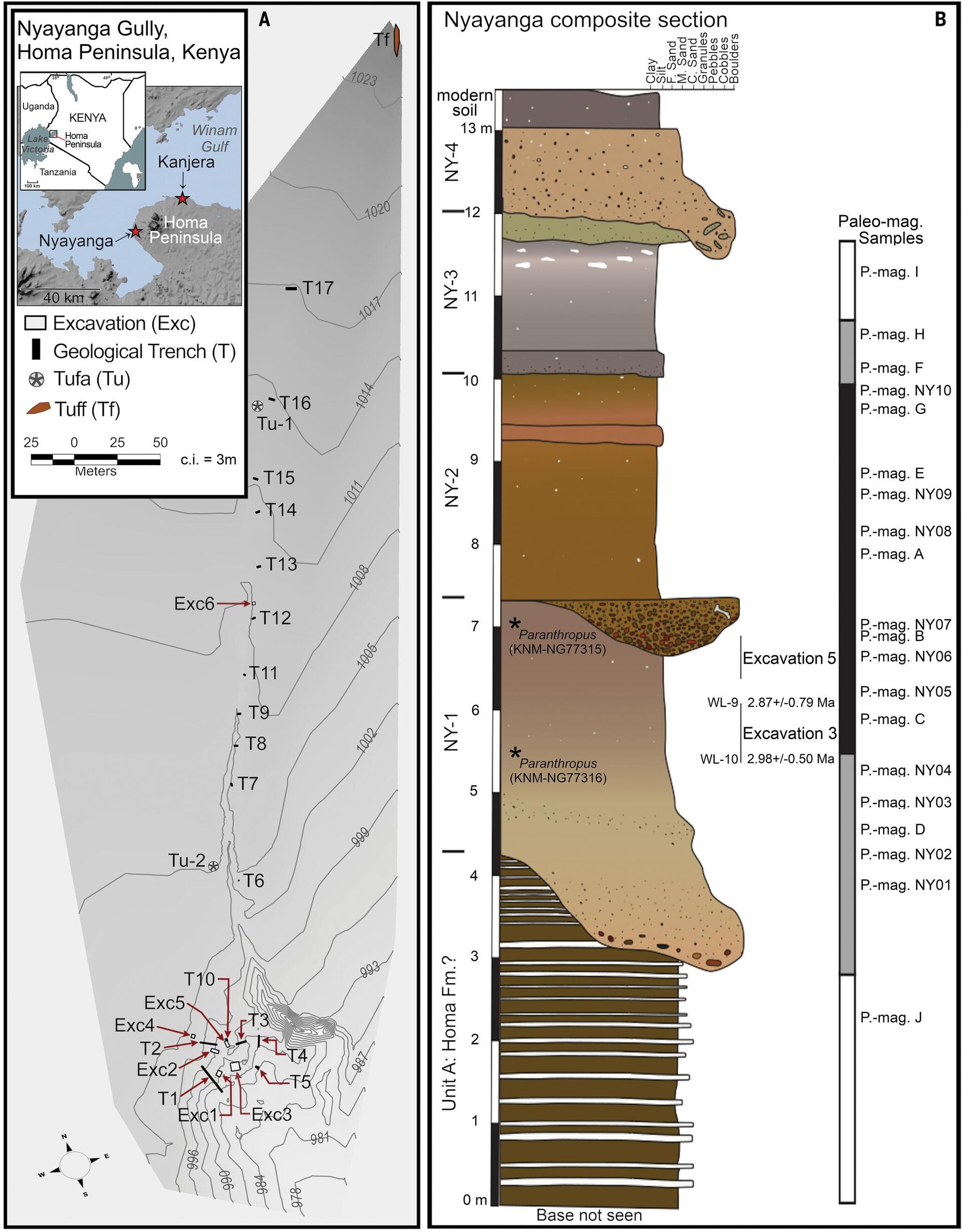 Nyayanga gully, stratigraphy, magnetostratigraphic data, and apatite crystal dating results. - Sputnik International, 1920, 10.02.2023