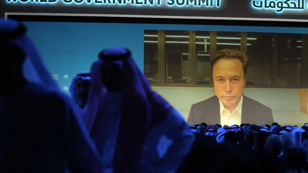 Elon Musk talks virtually during the World Government Summit in Dubai, United Arab Emirates. - Sputnik International