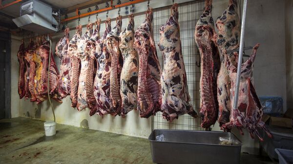 Many sides of beef hang in a meat locker at Jones Meat & Food Services in Rigby, Idaho, May 26, 2020. - Sputnik International