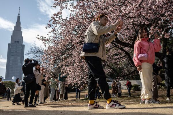 A woman poses for photographs under a cherry blossom tree at Shinjuku Gyoen Park in Tokyo on February 18, 2023. (Photo by Yuichi YAMAZAKI / AFP) - Sputnik International