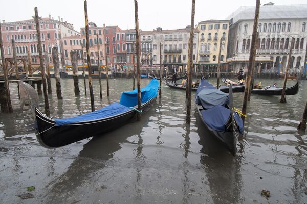 Vaporettos are also under pressure. Vaporetto is a Venetian public waterbus. There are 19 different lines that operate within Venice.  - Sputnik International