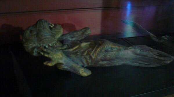 Mermaid Mummy - Sputnik International