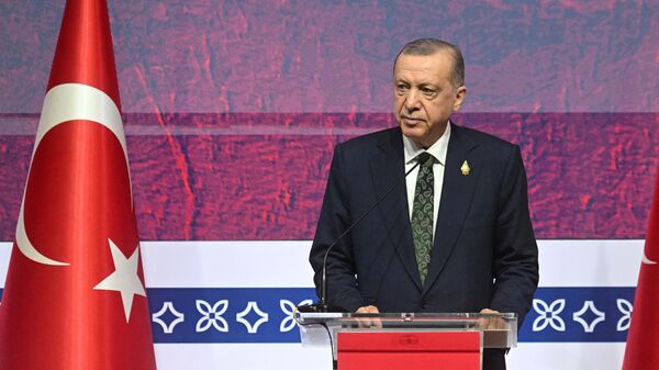 Turkish President Recep Tayyip Erdogan at the G20 Summit in Bali. File photo. - Sputnik International