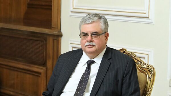 Ambassador Extraordinary and Plenipotentiary of the Russian Federation to Iran Alexei Dedov - Sputnik International