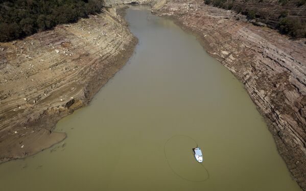 Fishermen use a net to catch fish that would struggle to survive in the low-oxygen water in order to protect drinking water in the Sau reservoir, about 100 km (62 miles) north of Barcelona. Spain, Monday, March 20, 2023. (AP Photo/Emilio Morenatti) - Sputnik International