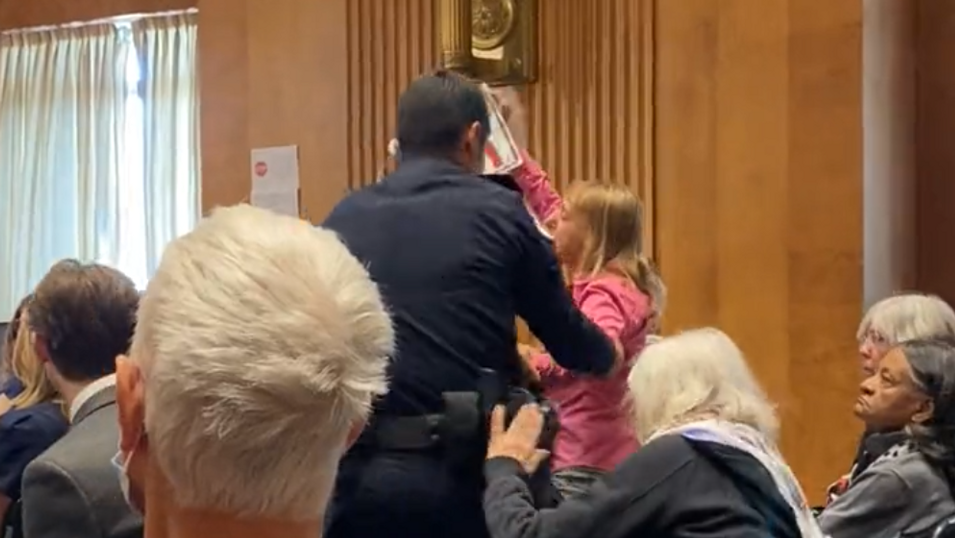 Image captures moment that CODEPINK co-founder Medea Benjamin was forcibly removed from a Senate committee hearing during testimony given by US Secretary Antony Blinken. - Sputnik International, 1920, 23.03.2023