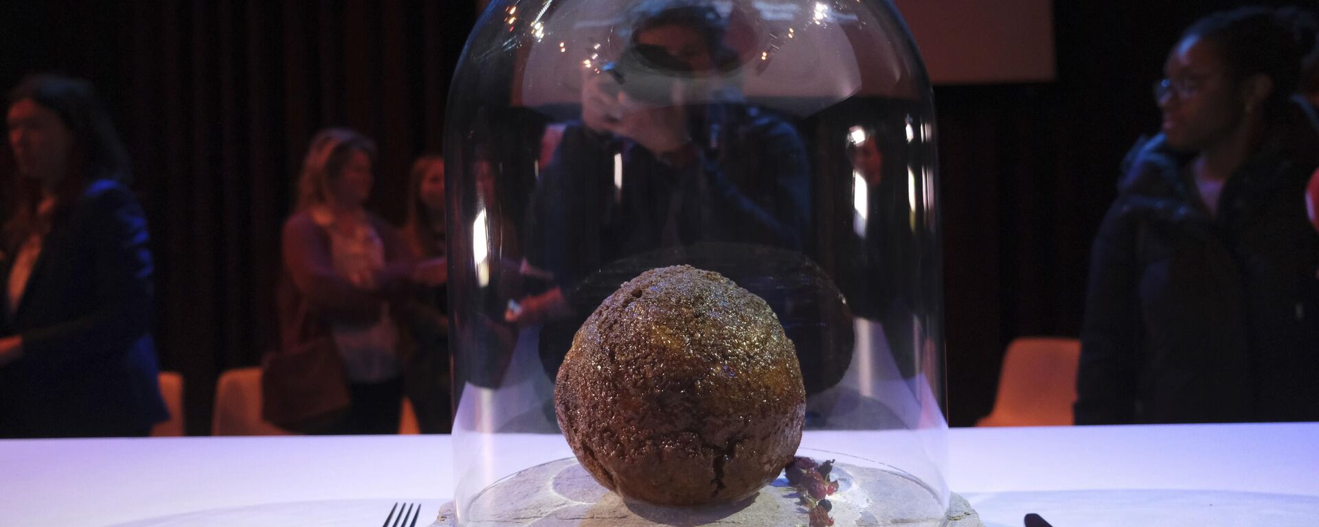 A meatball made using genetic code from a mammoth is seen at the Nemo science museum in Amsterdam, Tuesday March 28, 2023. - Sputnik International, 1920, 29.03.2023