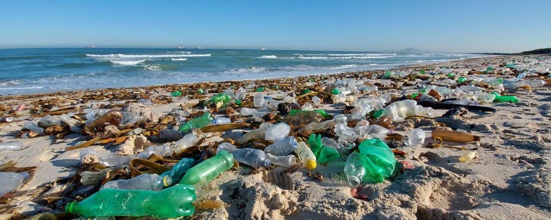 An ocean shore in South Africa littered with garbage, including plastic bottles and cans - Sputnik International, 1920, 17.02.2024