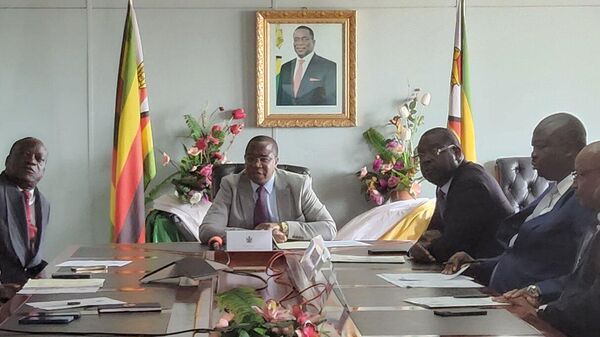 Minister of Finance and Economic Development of Zimbabwe Mthuli Ncube negotiating a loan with representatives of Standard Bank, ABSA, and Standard Bank Zimbabwe for the construction of five new 60-bed district hospitals and 30 new 20-bed health centers - Sputnik International